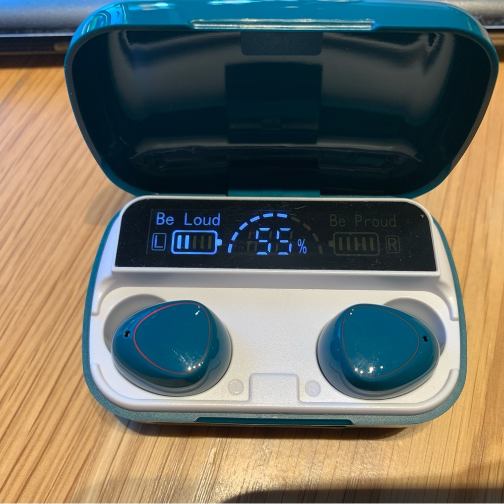 New Earbuds (not used)